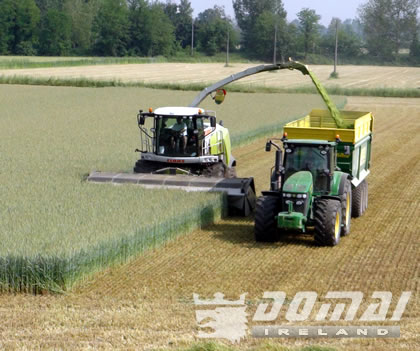 Claas Forager Cutting Grass with Domai Head